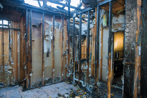 Professional Fire Damage Removal technician working in East Lake, FL